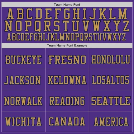 Custom Purple Navy-Old Gold Mesh Authentic Throwback Football Jersey - Image 3